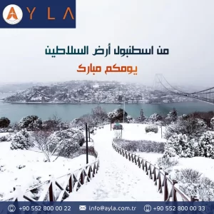 بوستر 12-01